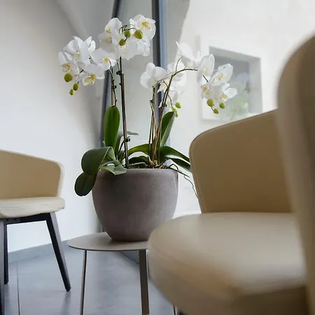 Aparthotel Borgo San Nazzaro